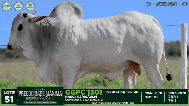 Lote 51