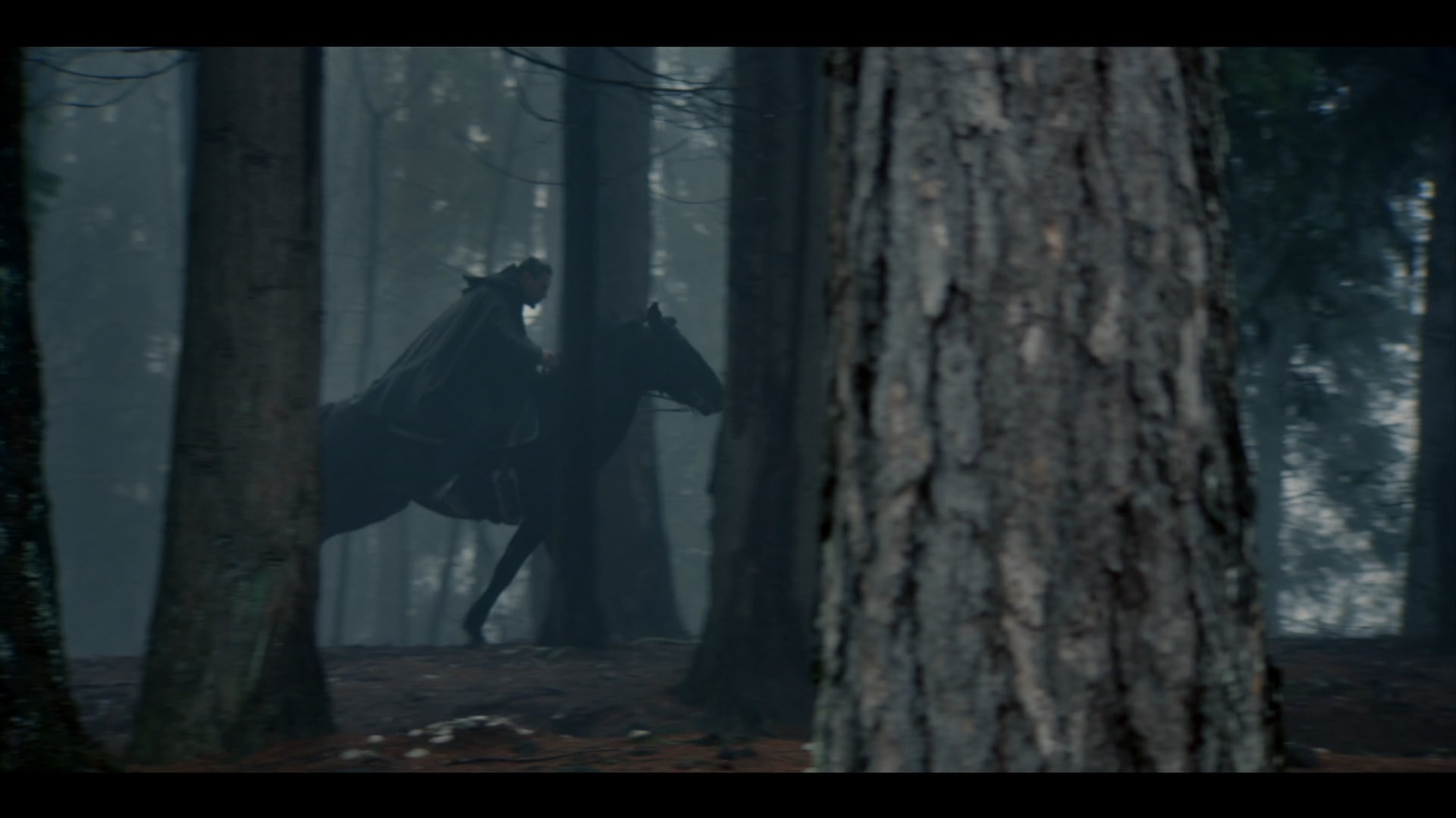 Medieval Horse