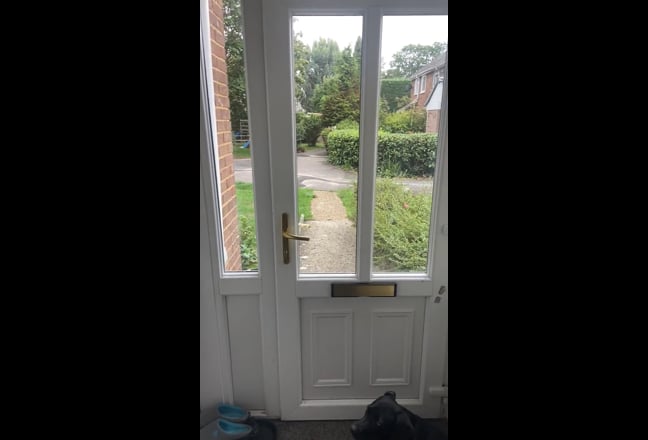 Video 1: 