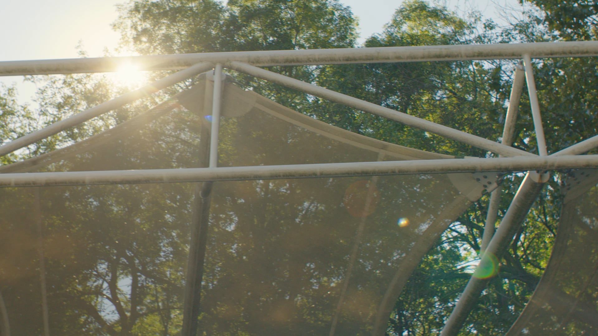 Branded Content: Craig Harris