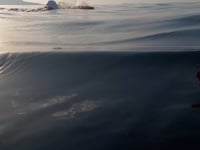 Nedada en solitari, de 19 km, per recaptar fons per l'Esclerosi Múltiple
