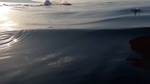 Nedada en solitari, de 19 km, per recaptar fons per l'Esclerosi Múltiple
