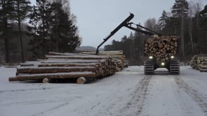 Related Embedded Video Item Thumbnail