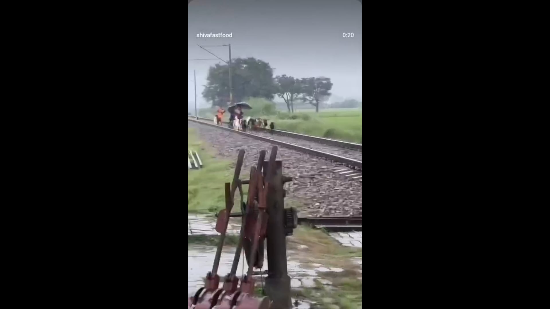 हथिगवां में बड़ा हादसा ट्रेन की चपेट में आकर 30-35 बकरियों की मौत RPF मौके पर
सस्पेंस हेडलाइन#l