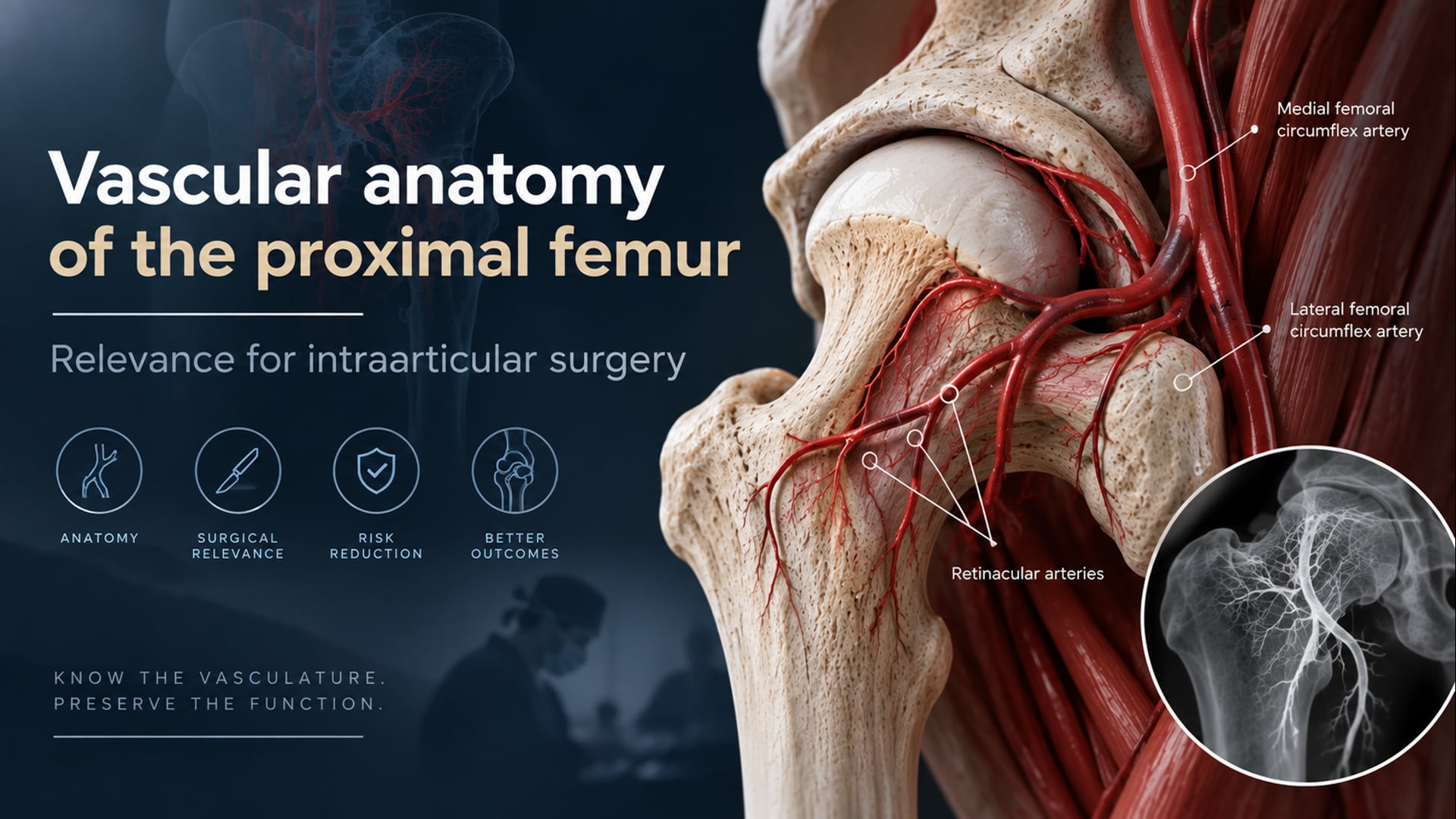 Vascular anatomy of the proximal femur - Relevance for intraarticular surgery (M. Kalhor)