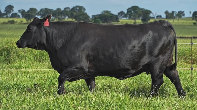 Lote 02