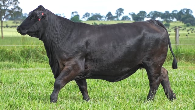 Lote 03