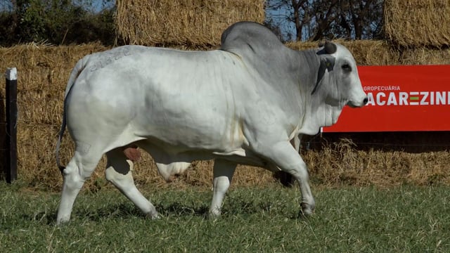 Lote 13