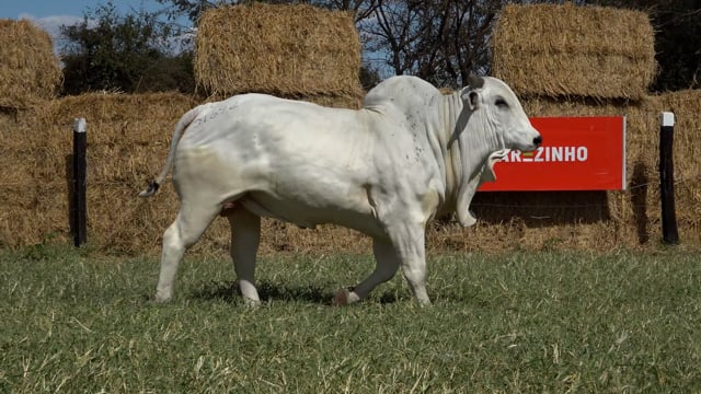 Lote 30