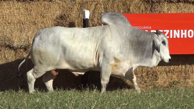 Lote 05