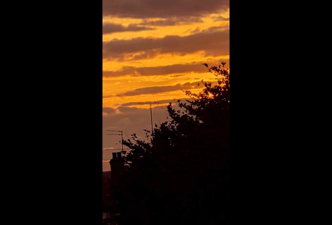 Video 1: 