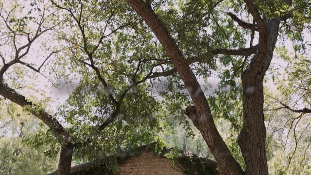 Italy & Benjamin’s wedding film at The Springs Weddings & Events
