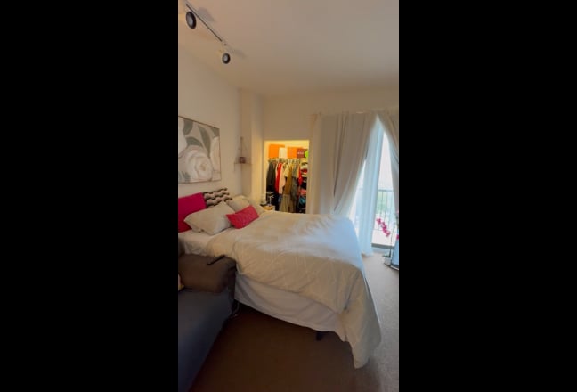 Room for rent near USF. Main Photo