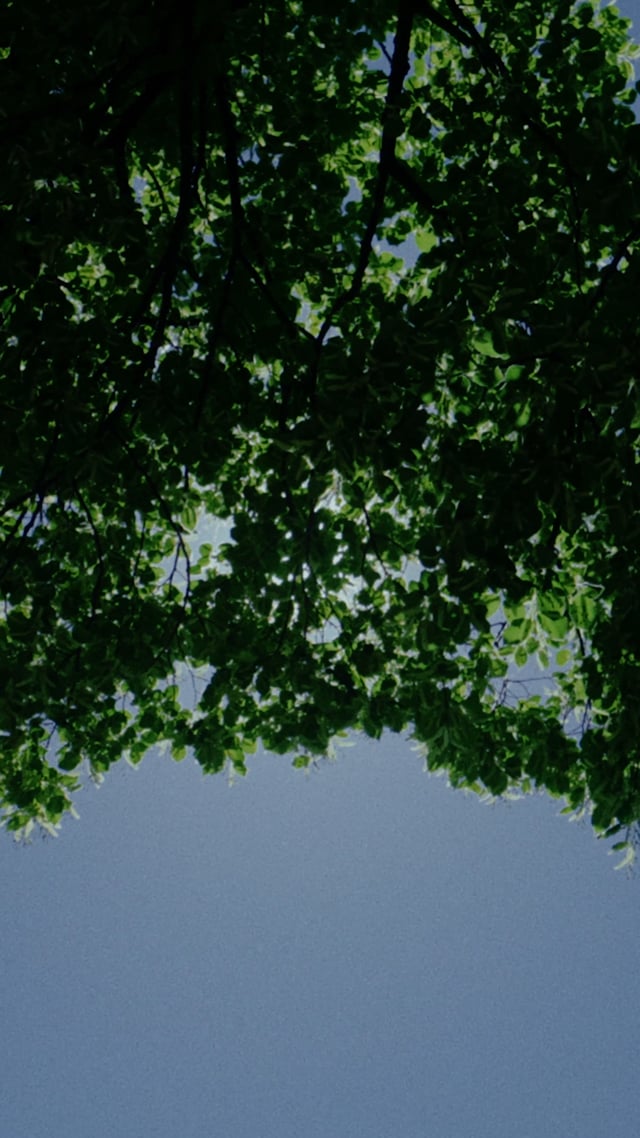 Azzur Berlin – Unter freiem Himmel