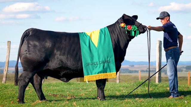 Lote 07
