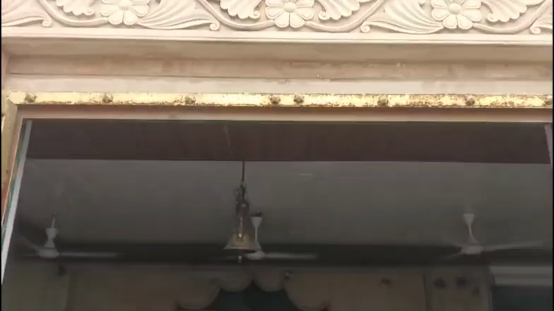 “गोरे दाऊजी आश्रम में ब्रज के राजा का भव्य उत्सव, आस्था के सैलाब में डूबा वृंदावन!”