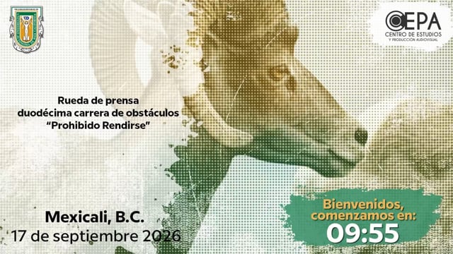 Rueda de Prensa Duodécima Carrera de Ostáculos Prohibido Rendirse