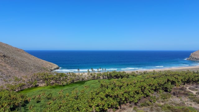 San Pedro de las Palmas Beach