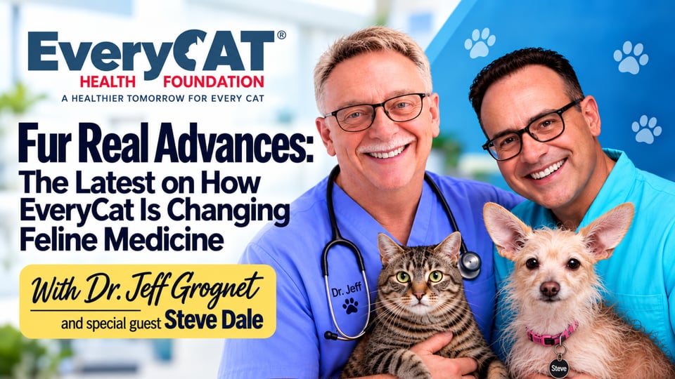 Fur Real Advances: The Latest on How Every Cat Is Changing Feline Medicine
