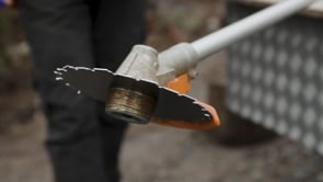 Related Embedded Video Item Thumbnail