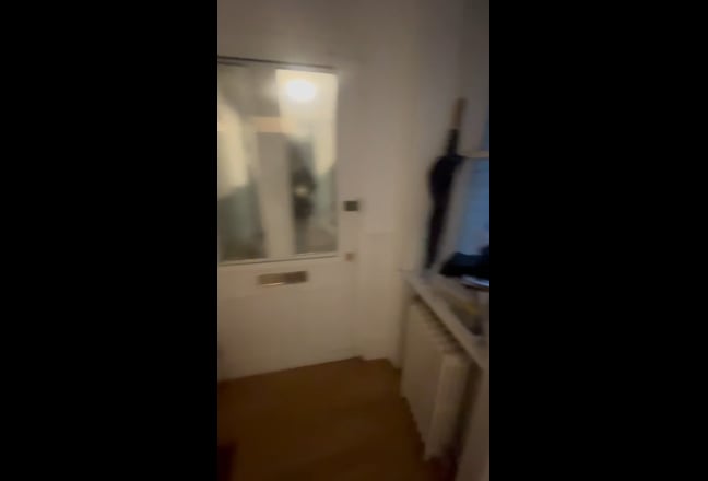 Video 1: 