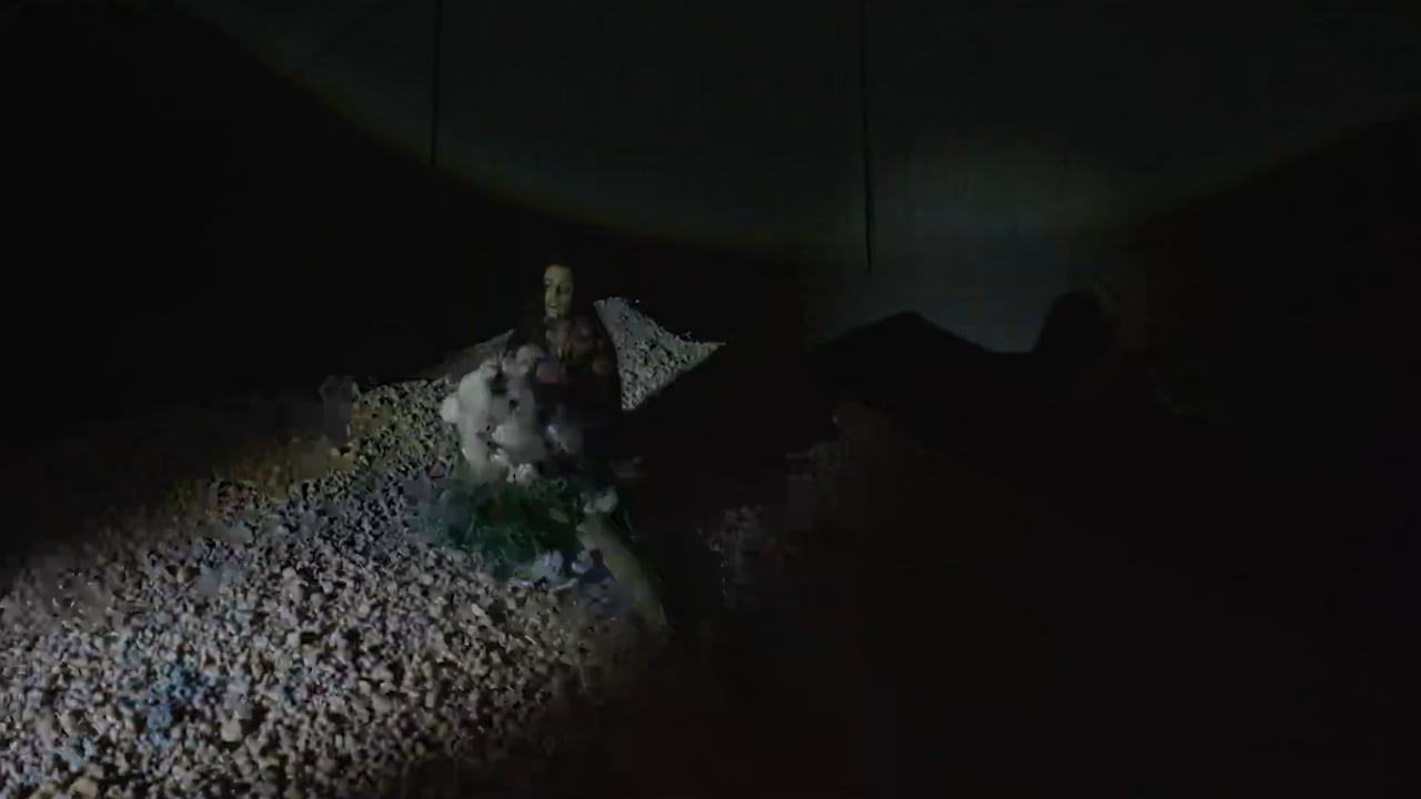 Arca - XXXXX Streaming 5