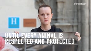 Animal Equality: Midyear Impact 2026