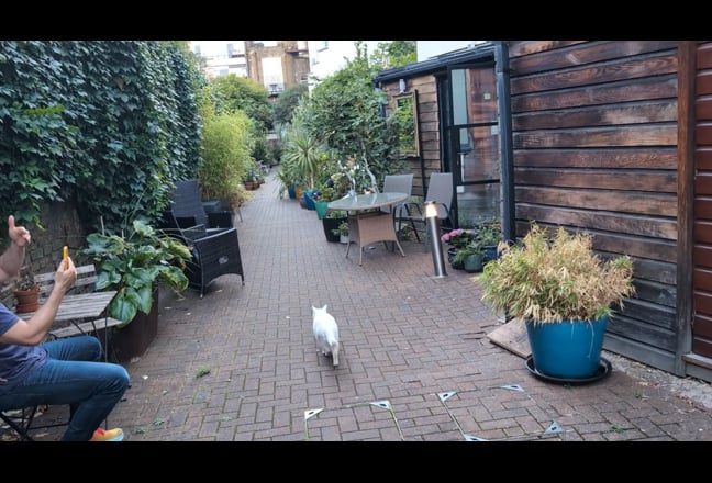 Ground-floor studio on quiet Hackney mews Main Photo