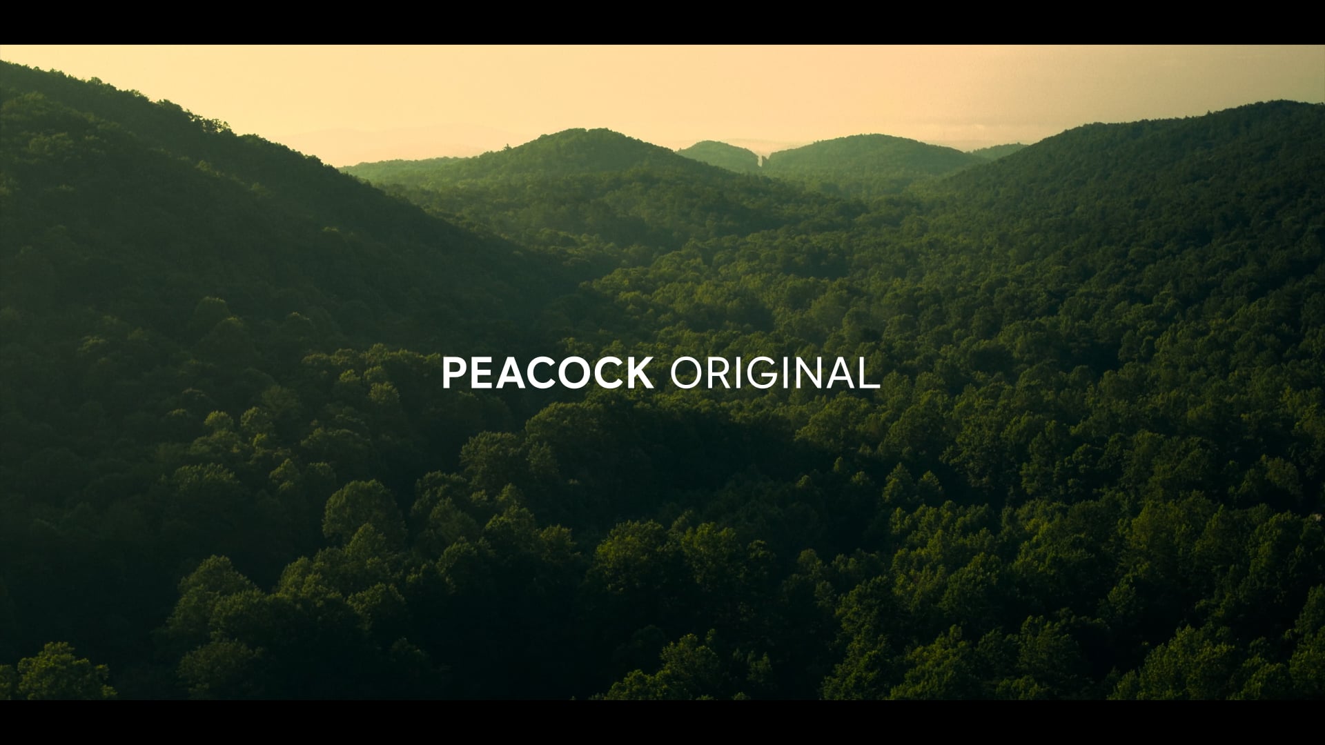 "The Good Daughter" Teaser
