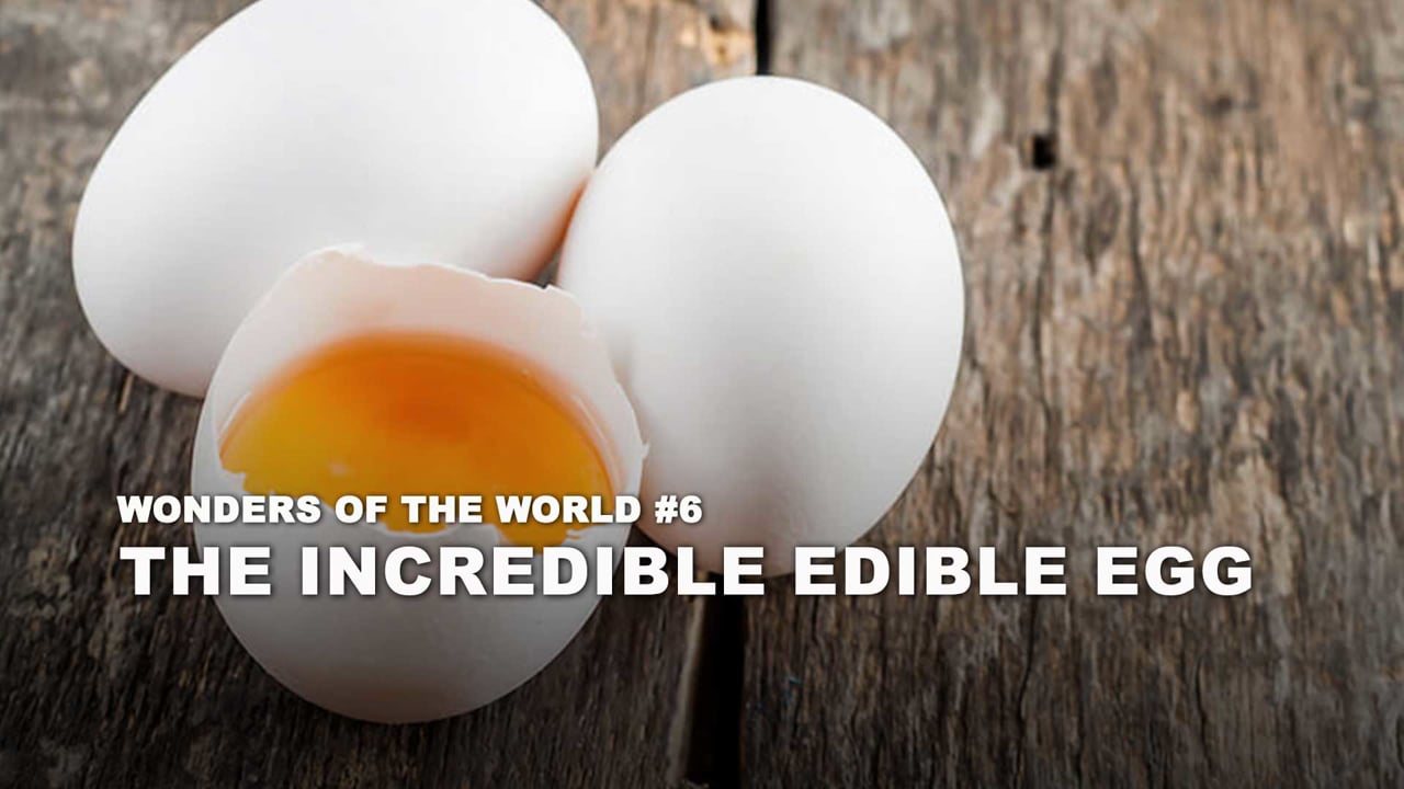 WOW - 06 - The Incredible Edible Egg