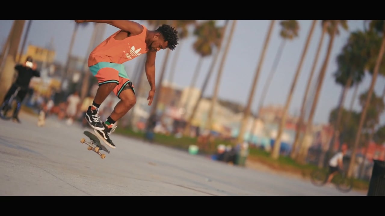 Corona in Venice Beach