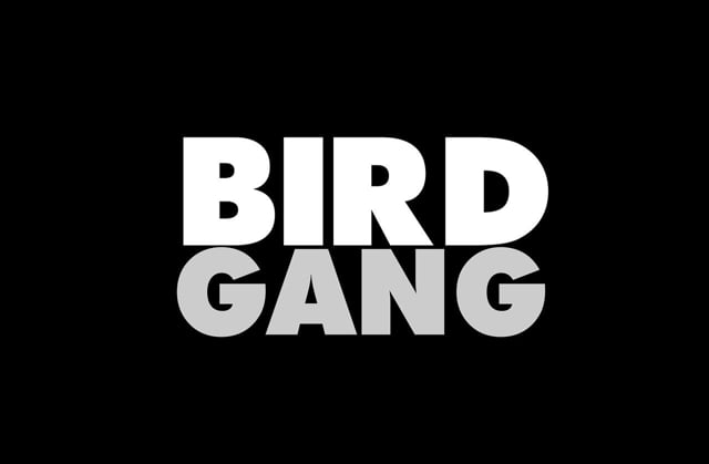BIRDgang from BIRDGANG