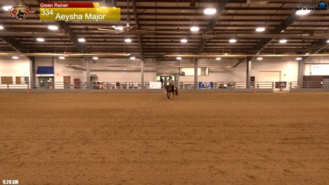 #334 Aeysha Major