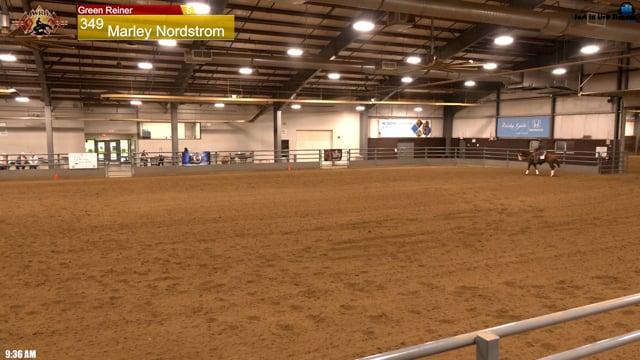 #349 Marley Nordstrom