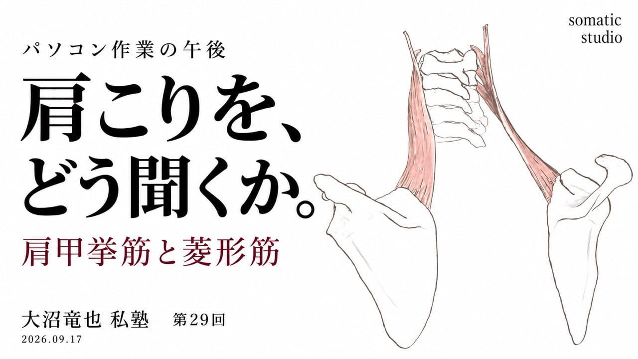パソコン作業の午後の肩こりと肩甲挙筋の授業サムネイル