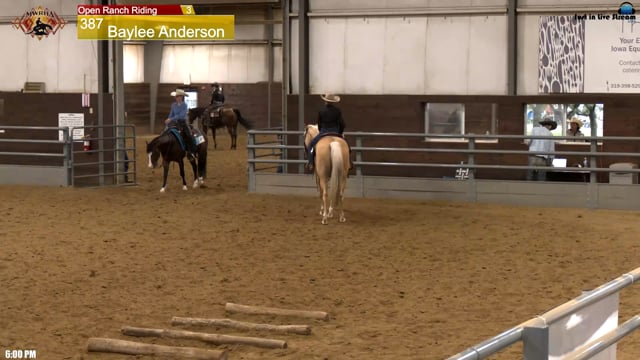 #387 Baylee Anderson