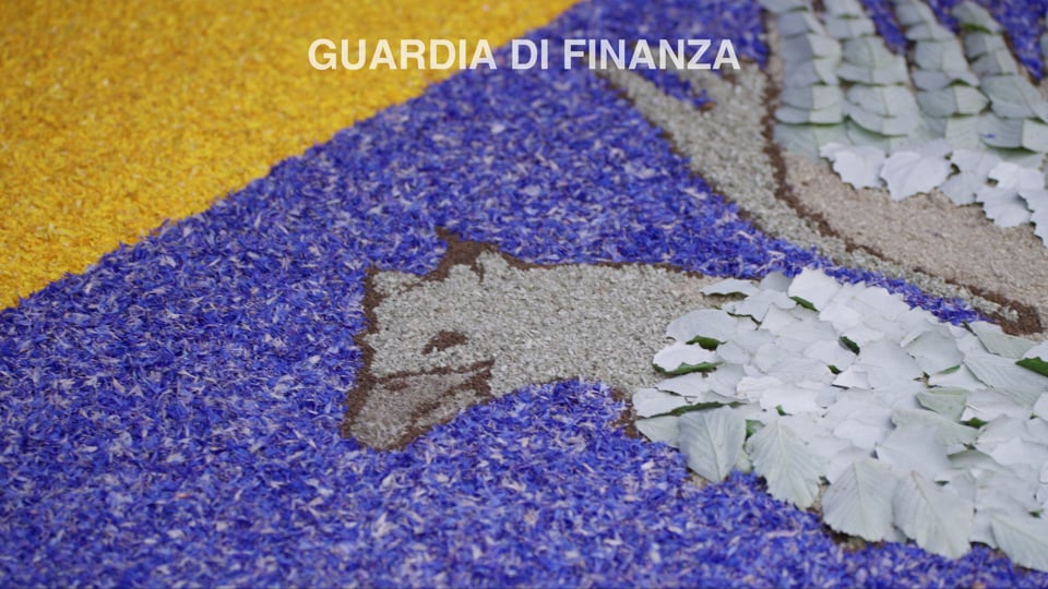 Guardia di Finanza