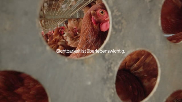 VGT – Mehr Schutz für Tiere
