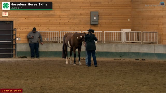 Horseless Horse Skills