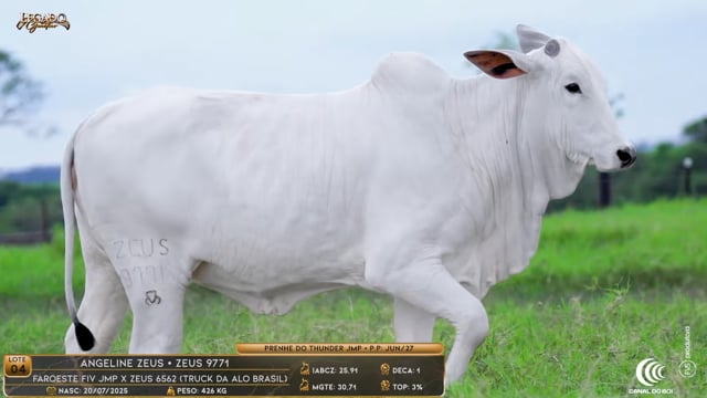 Lote 04