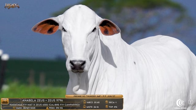 Lote 02