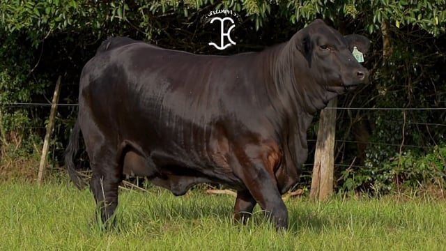 Lote 08