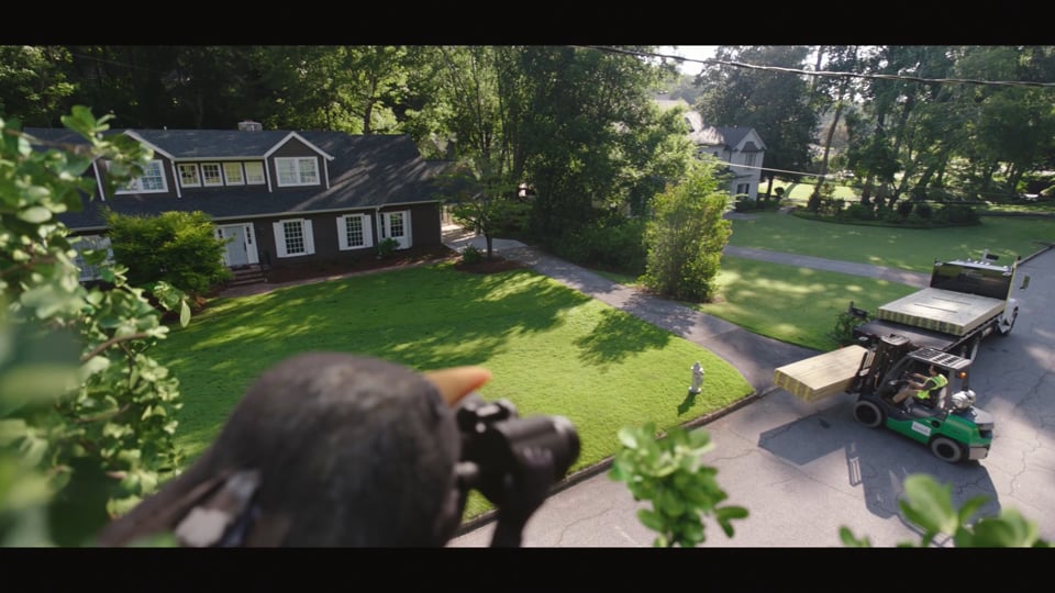YellaWood - Five-Star Backyards - Heist
