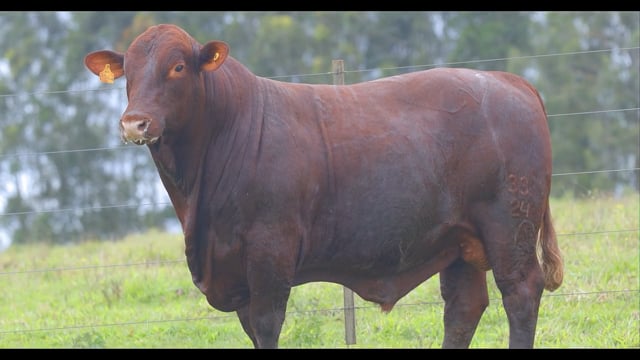 Lote 27