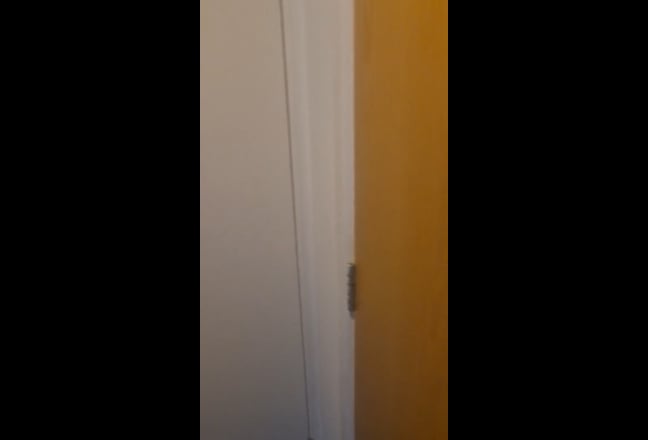 Video 1: 