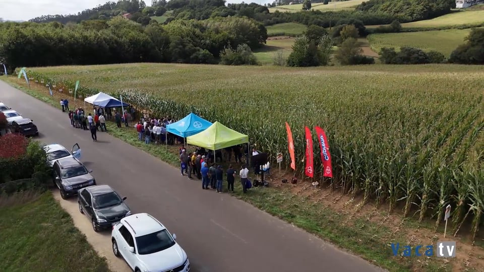 Bayer Crop Science presenta sus nuevos híbridos y soluciones para el cultivo de maíz