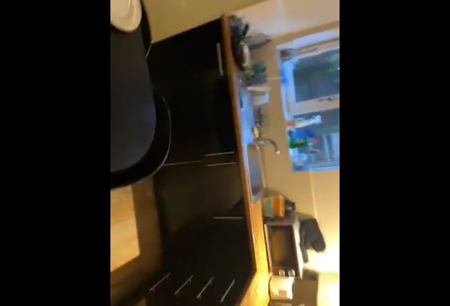 Video 1: 