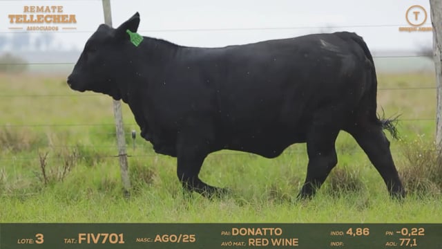Lote 03