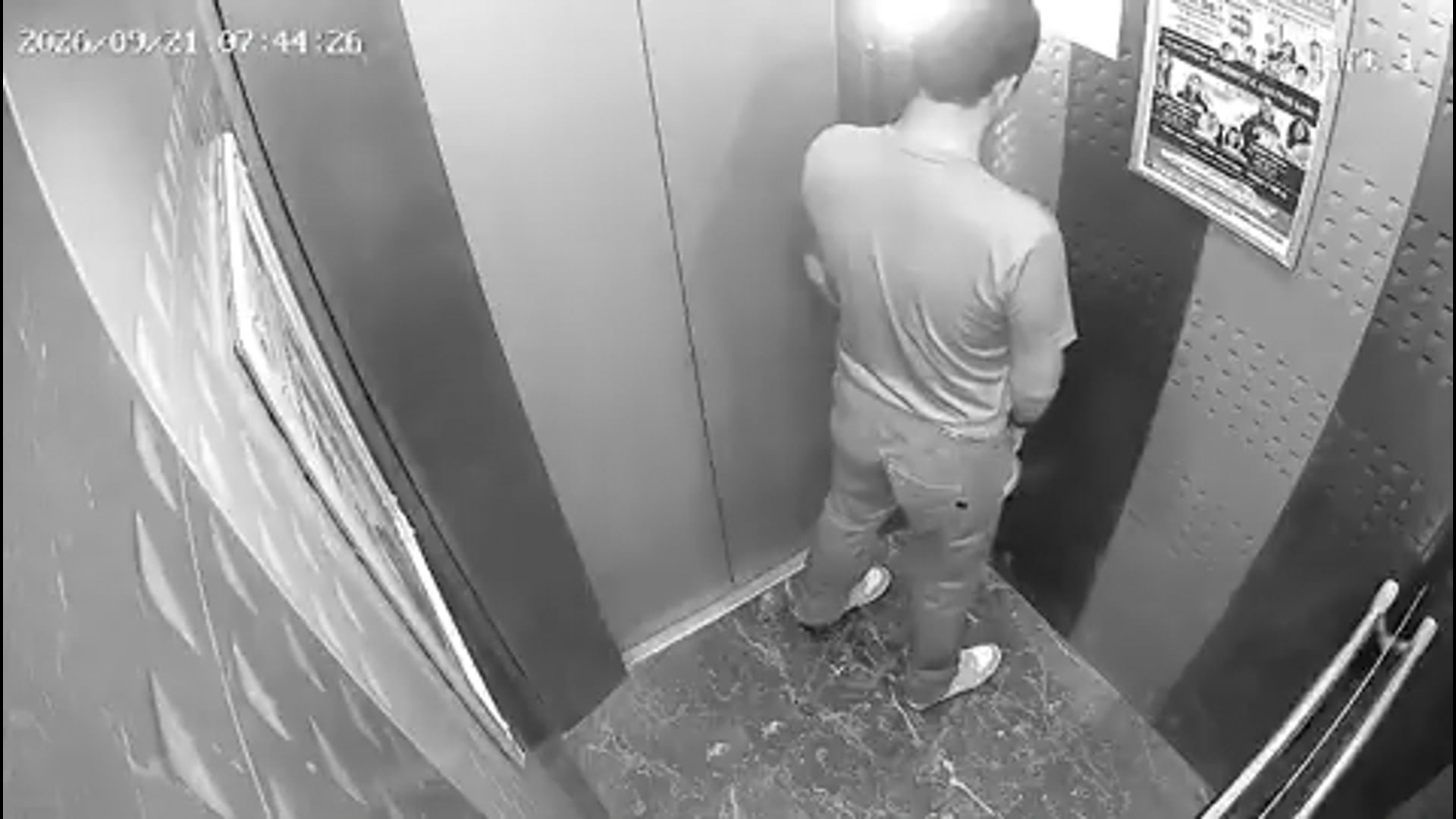 ● गाजियाबाद में लिफ्ट के अंदर पेशाब करते शख्स का सीसीटीवी वीडियो वायरल, इंदिरापुरम थाना क्षेत्र के अहिंसा
