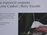 Anna Caubet i Betty Escofet en una exposició conjunta al Castell Carolingi